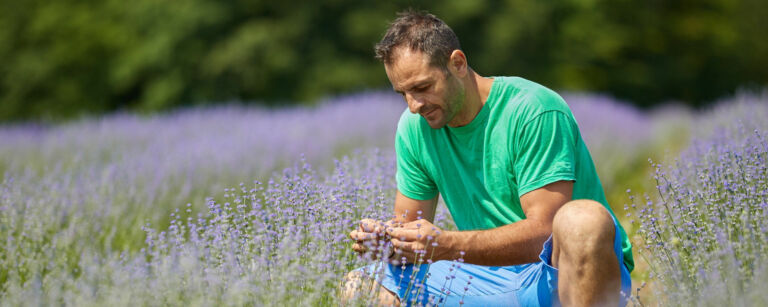 Man sitting alone in a lavender field