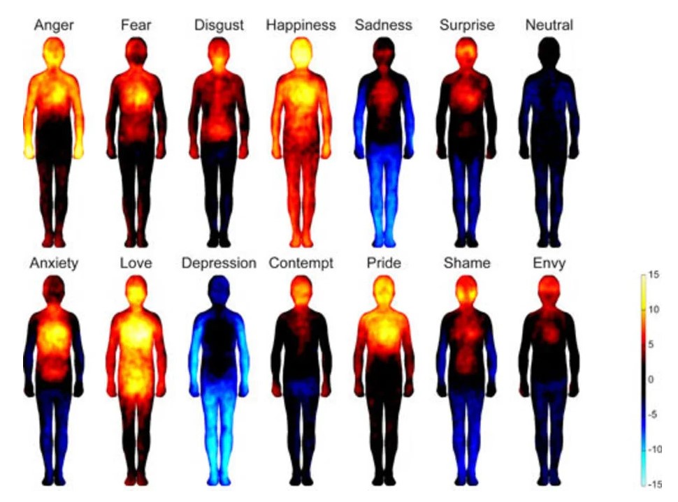 Different emotions are associated with discernible patterns of bodily sensations.